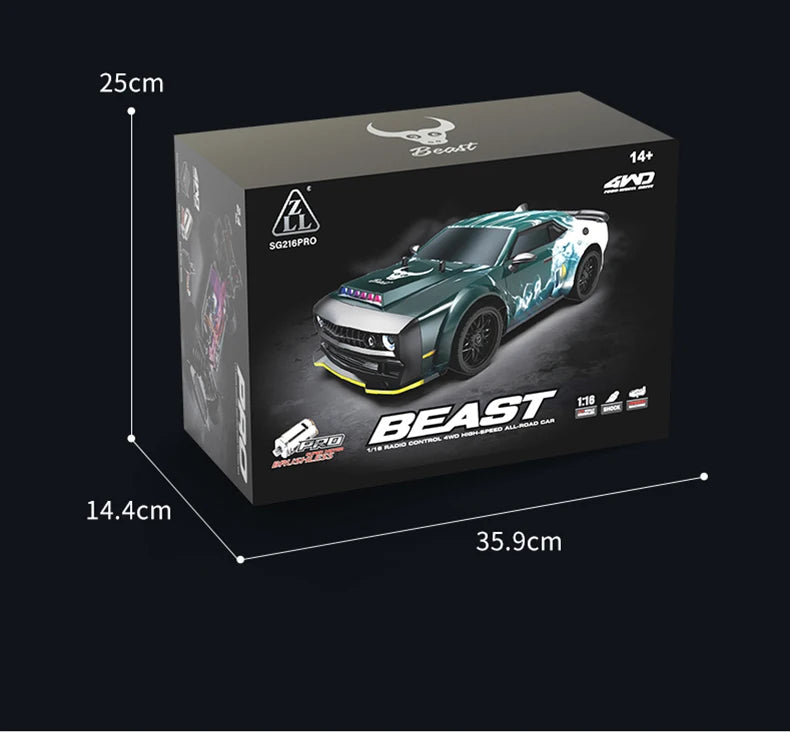 ZLL SG116 MAX/PRO 1:16 High Speed Drift Racing